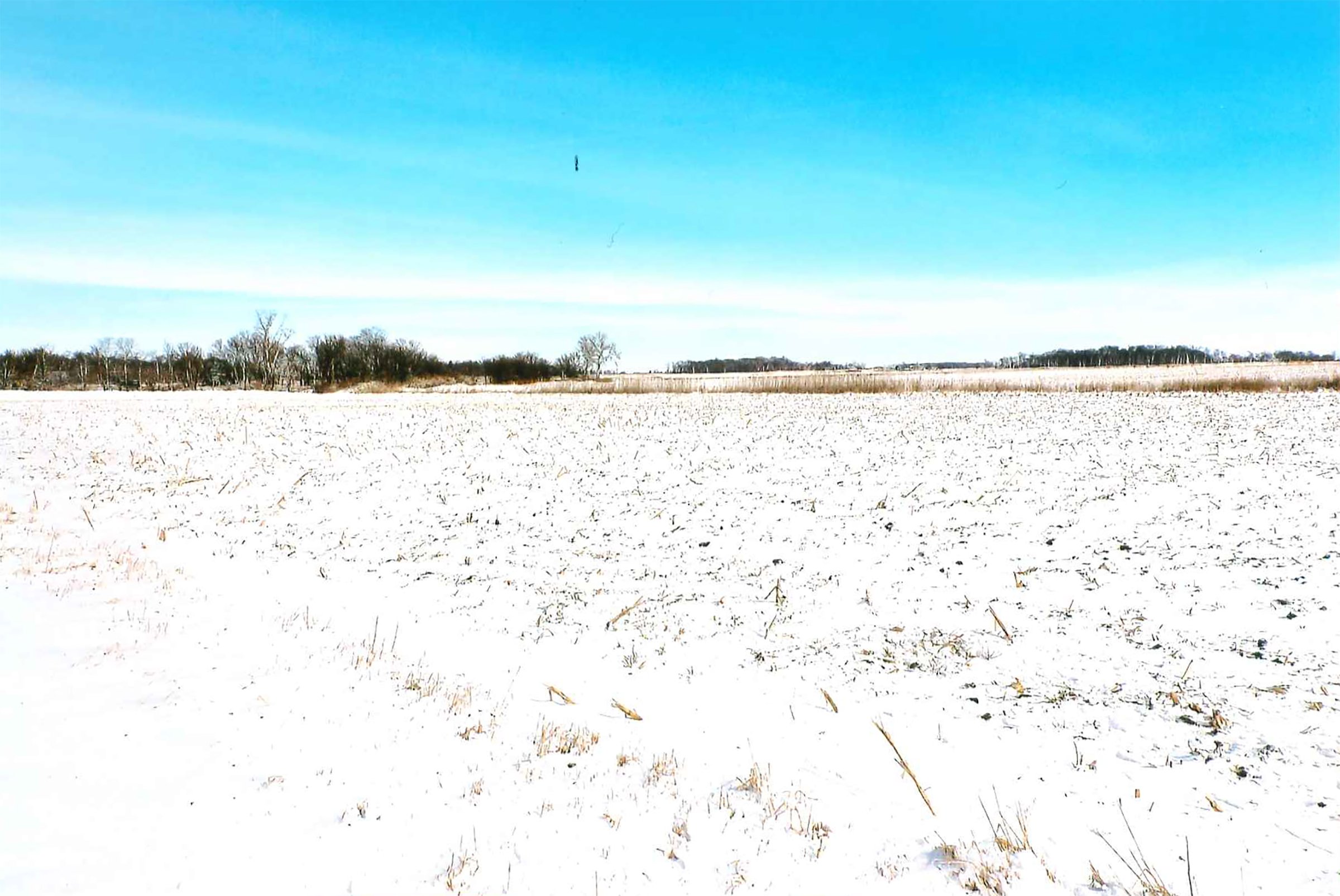 Property photo 1 - LAND AUCTION - 181.22+/- ACRE OFFERED IN 3 TRACTS IN JASPER CO., INDIANA